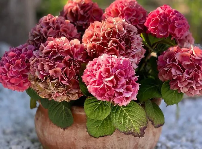 Modern And Cozy Little House Mia